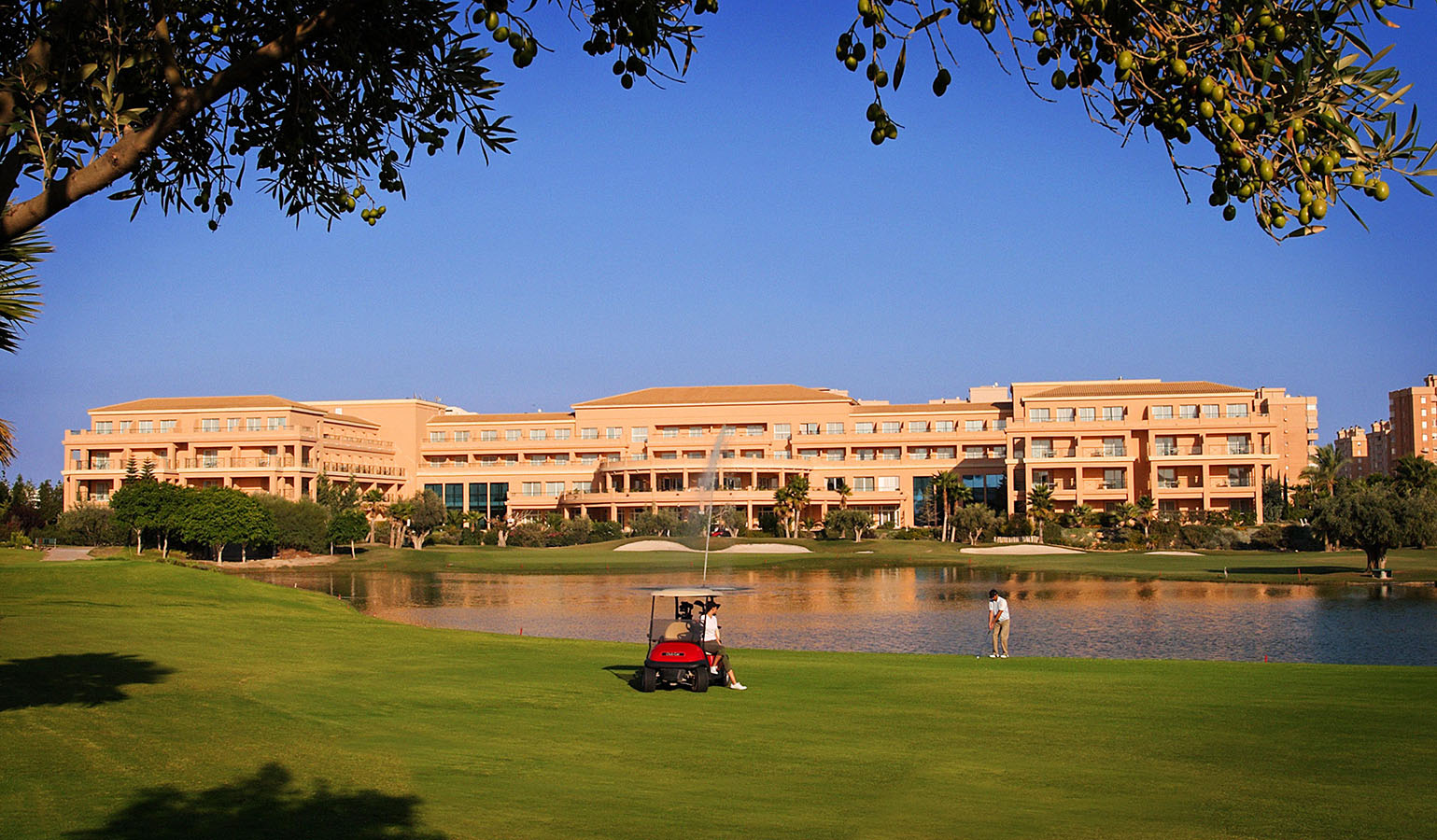 Hotel Alicante Golf